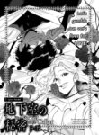 Cover 47544