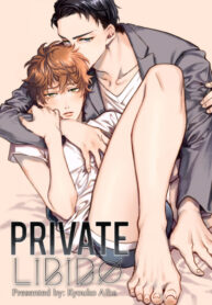Cover 47568