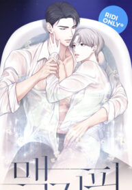 Cover 47661