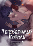 Cover 47713