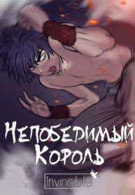 Cover 47713