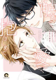 Cover 47731