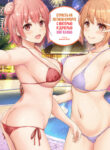 Cover 47739