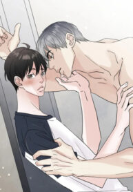 Cover 47773
