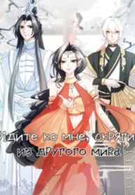Cover 47927