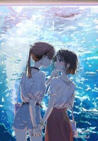 Cover 47933