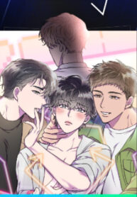 Cover 47935
