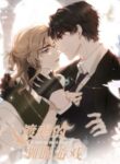 Cover 47995