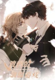 Cover 47995