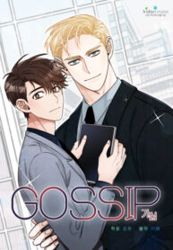 Cover 48060