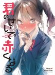Cover 48064