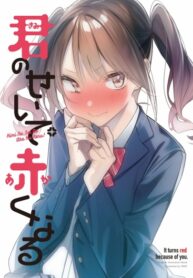 Cover 48064