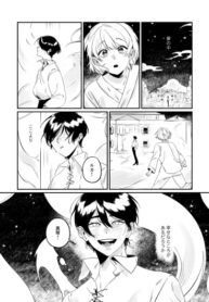 Cover 48068