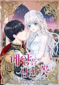 Cover 48086