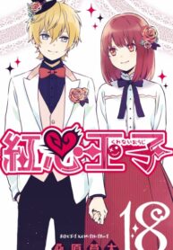 Cover 48088