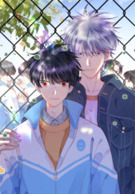 Cover 48106