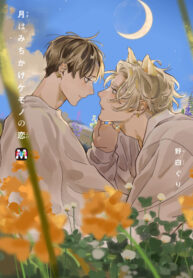 Cover 48122