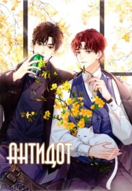 Cover 48124