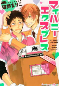 Cover 48203