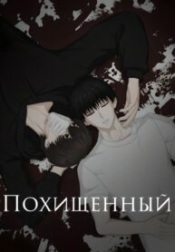 Cover 48272
