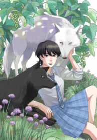 Cover 48324