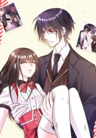 Cover 48412