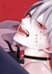 Cover 48423