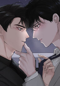 Cover 48506