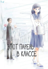Cover 48524