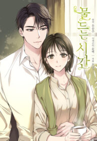 Cover 48558