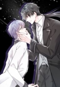 Cover 48586