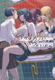 Cover 48731