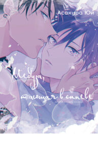 Cover 48736