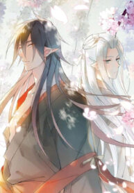Cover 48744