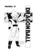 Cover 48798