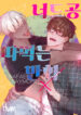 Cover 48893