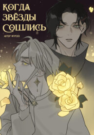 Cover 48895