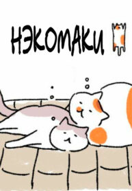 Cover 48899