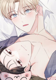 Cover 48984