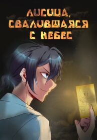 Cover 48993