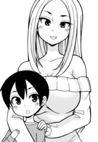 Cover 49017