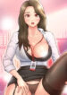 Cover 49057