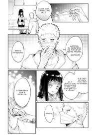 Cover 49071