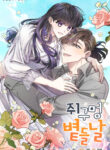 Cover 49127