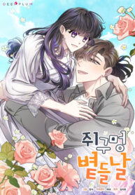 Cover 49127