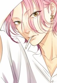 Cover 49152