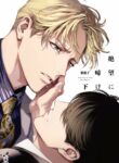 Cover 49163