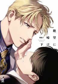 Cover 49163
