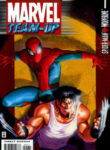 Cover 49175