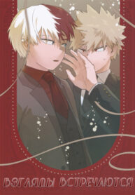 Cover 49219